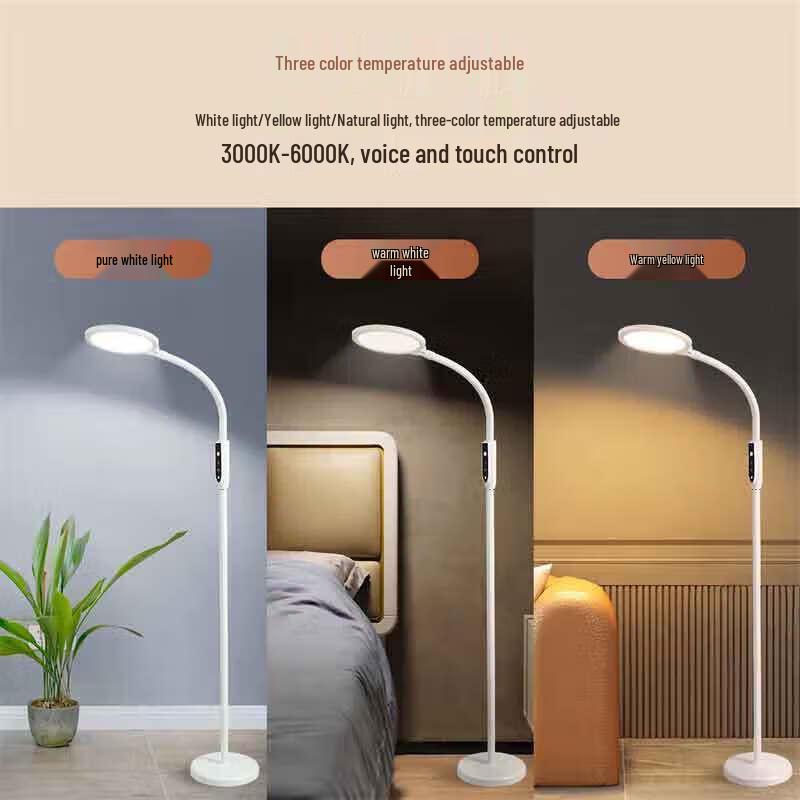 Newman Multi-functional Voice-Controlled Eye-Protection Floor Lamp