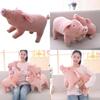 Lovely Beach Pig Shaped Plush Toy With Cotton Filling In Four Sizes For Gift And Collectibles