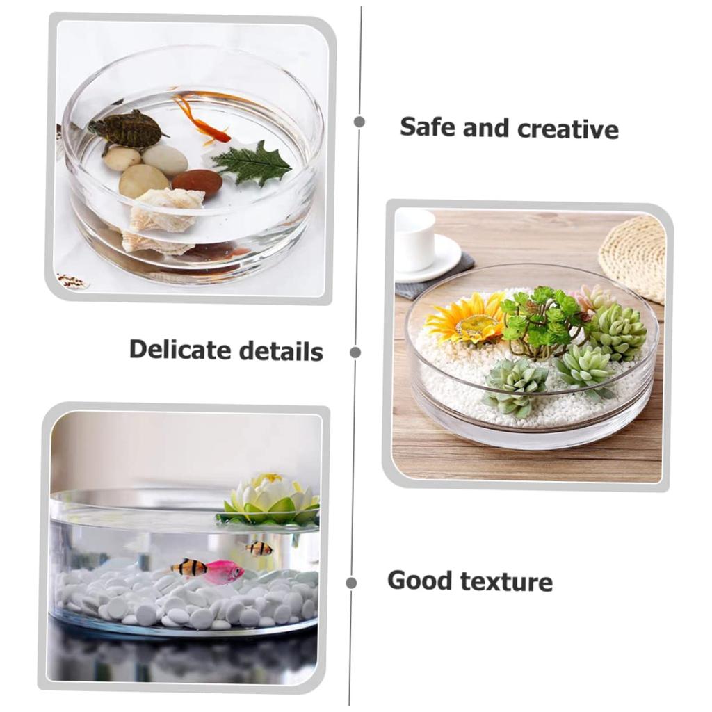 HANABASS Round Glass Terrarium Vase, Transparent Galantar for Hydroponic Cultivation, 3.15" Diameter, 5.91" Height, Interior Decor, for Succulents