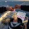 5pcs/Box Sinking Wood UV Luminous Squid Bait Saltwater Fishing Accessories  Saltwater Fishing