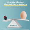 Winddichte Warme Hundekleidung Verdickte Hundeweste Mantel Mode Haustierkleidung Welpe