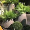 Areca Palm Artificial Simulation Plants for Home, Wedding, and Photography Decor
