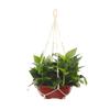Hand-Knitted Cotton Macrame Plant Hanger with Wooden Beads (2-Pack)