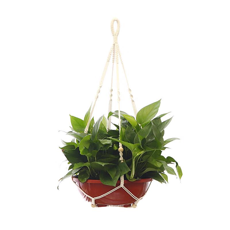 Hand-Knitted Cotton Macrame Plant Hanger with Wooden Beads (2-Pack)
