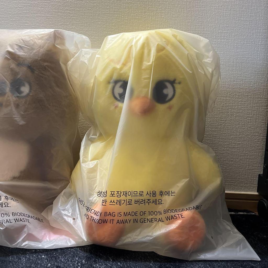 [GEBRAUCHT] straykids Pogarri Teddybär TEDDYBÄR