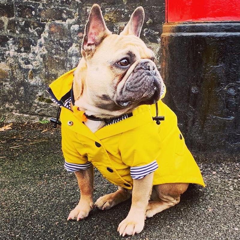 Fashion French Bulldog Pet Rain Coat for Medium Large Dogs Waterproof Puppy Big Dog Clothes Pug Corgi Pitbull mascotas Raincoat