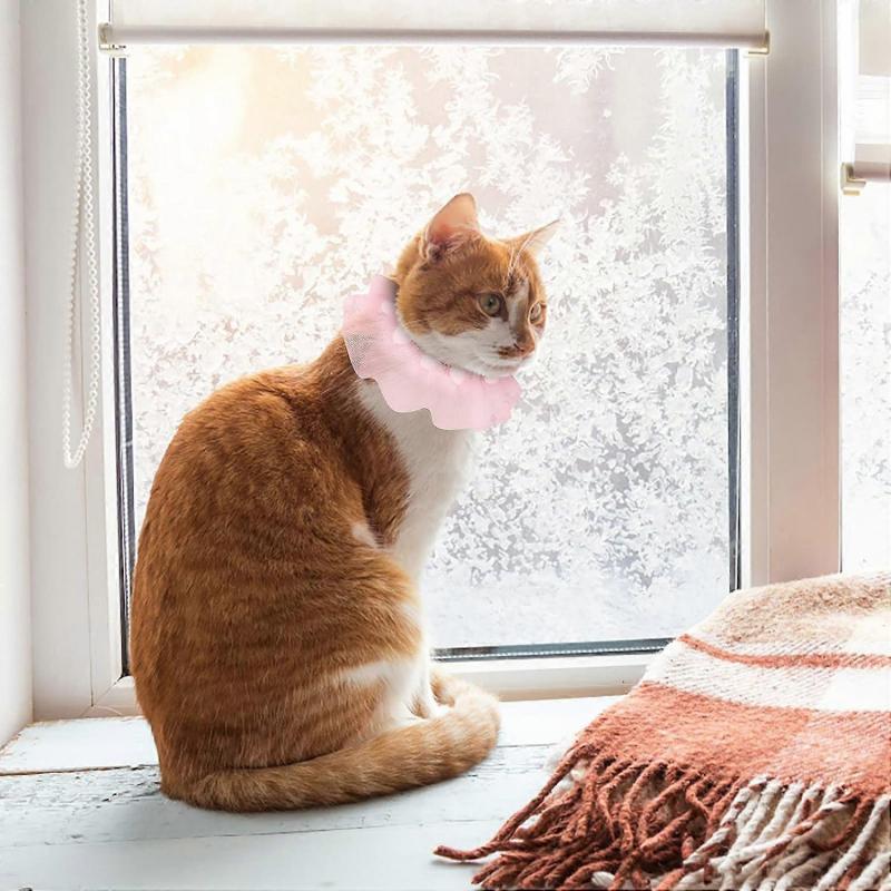 Hundehalsband Fliege Aufsatz Spitze Haustierhalsband Verstellbares Hundehalsband Niedliche Weiche Gepolsterte Halskette für Welpen Katze Geschenk Halsband für Kleinen Hund Hundehalsband Anhänger