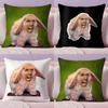 Nordic Style N-Nicolas Cage Rabbit Cushion Cover Plush Fabric Soft Double-Sided Printed Sofa Warm Winter Home Gift Pillow Cover