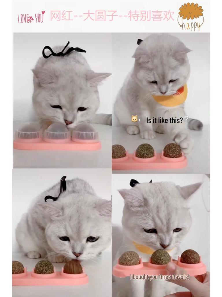 Catnip Merry-Go-Round: Self-Play Teething Toy with Matatabi Fruit for Cats