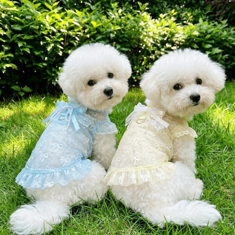 Hollow Out Anti Mosquito Bite Dog Vest UV Protection Anti Shedding Pet Clothing  Outdoor