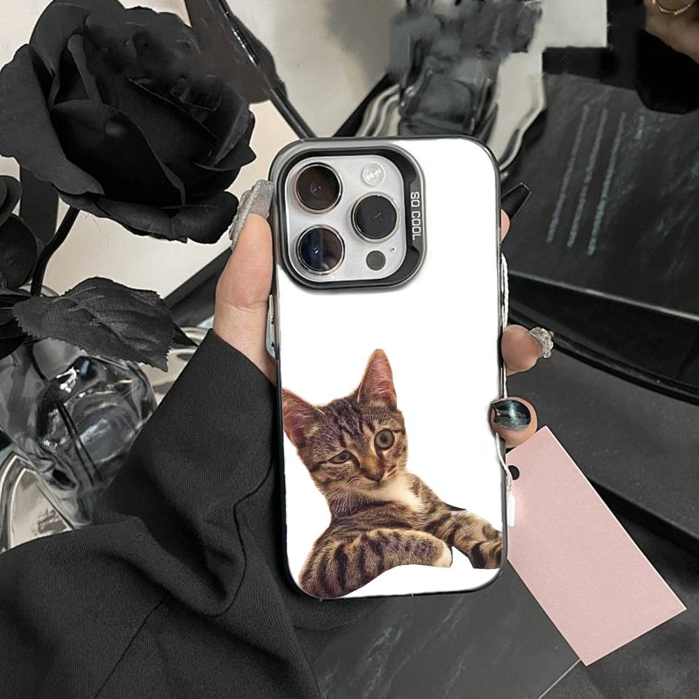 Big-eyed Goofy CAT Silly Phone Case For iPhone17, 16,15,14,13,12 Pro Max Black Candy Matte Shockproof Cover