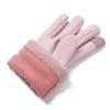 Gloves Women's Fleece Thickened Warm Electric Vehicle Windproof German Fleece Spring and Autumn Winter Riding Cold Driving Cycling