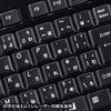 Sanwa Supply Keyboard with USB Thin Numeric USB 2 Black Hub, Membrane, Keypad, Ports, SKB-SL21UHBK