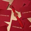 Coach Watch Coach14504239 Ladies Red