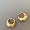 Waterproof Circle Earrings 925 Silver Needle Silver Ear Buckles Golden Round Earrings  Daily