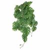 Wall-Mounted Monstera Vine Indoor Decor: Hanging Pothos and Laminated Leaf Greenery