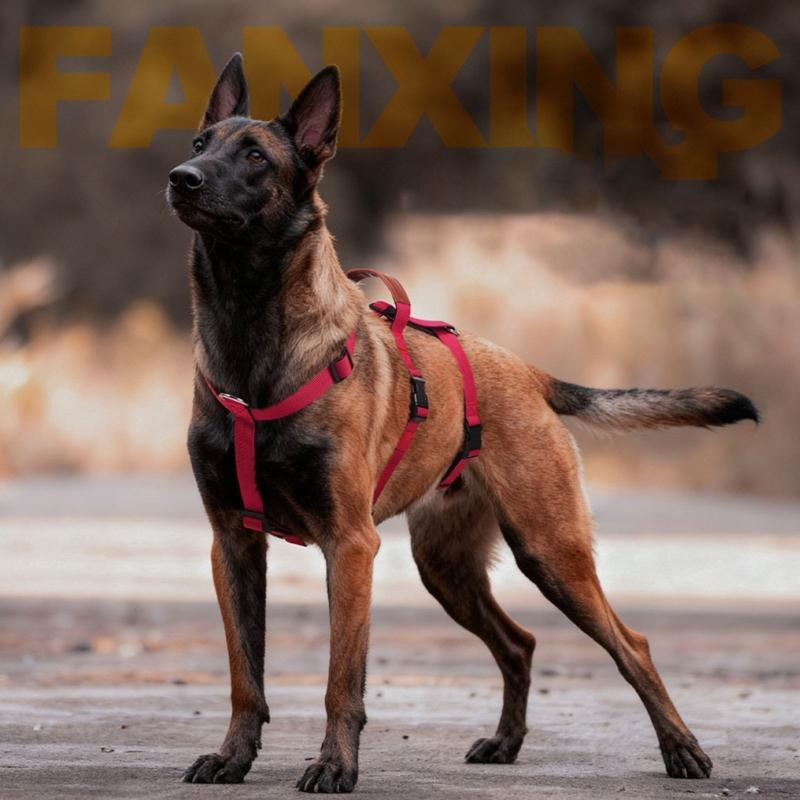 Dog Harness Anti Escape Vest Adjustable Training Vest Pet Strong Training Walking Swimming Hiking Anti Escape Belt