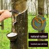 Natural High-Elastic Rubber Bands