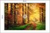 Photomural Forest Autumn Colors Non-Woven 90x60