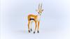 Schleich Wildlife Gazelle 14861 Thomson's