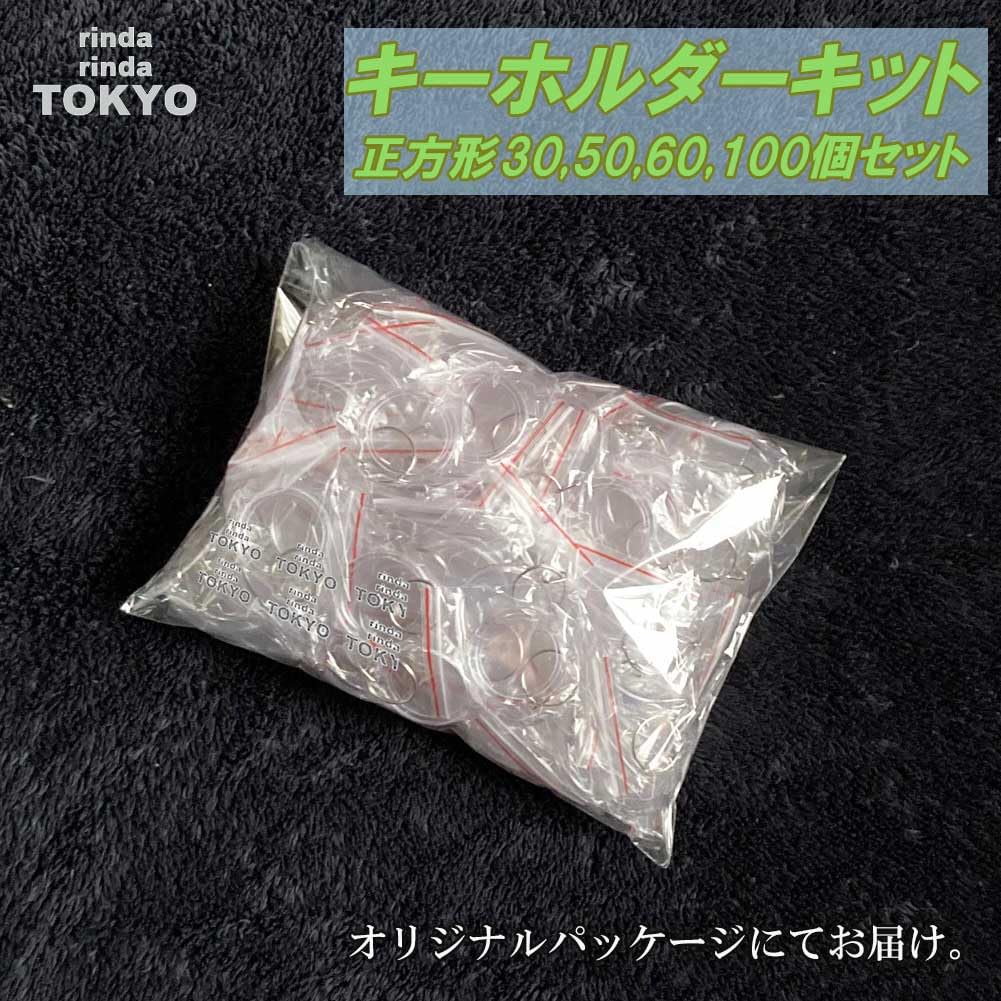 Porta-Chaves Porta-Fotos Quadrado 50 60 100 Corte Montagem Moldura Acrílica para Fotos Kit de Criação de Peças Artesanais de [rinda] (30 pçs, pçs, pçs, pçs, Modelo,