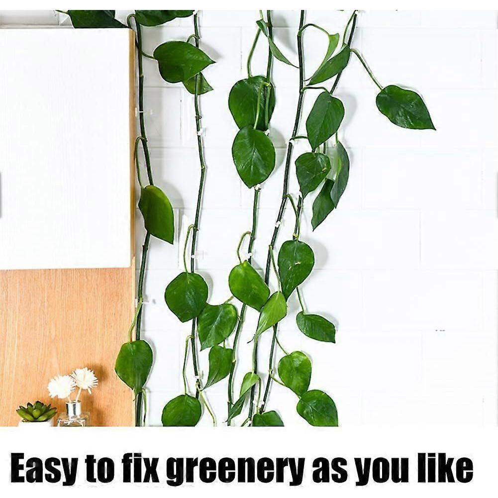 40 Pcs Plant Clips, Self-Adhesive Invisible Wall Clip, Rattan Vine Plant Stent Supports, Office Cable Fixing