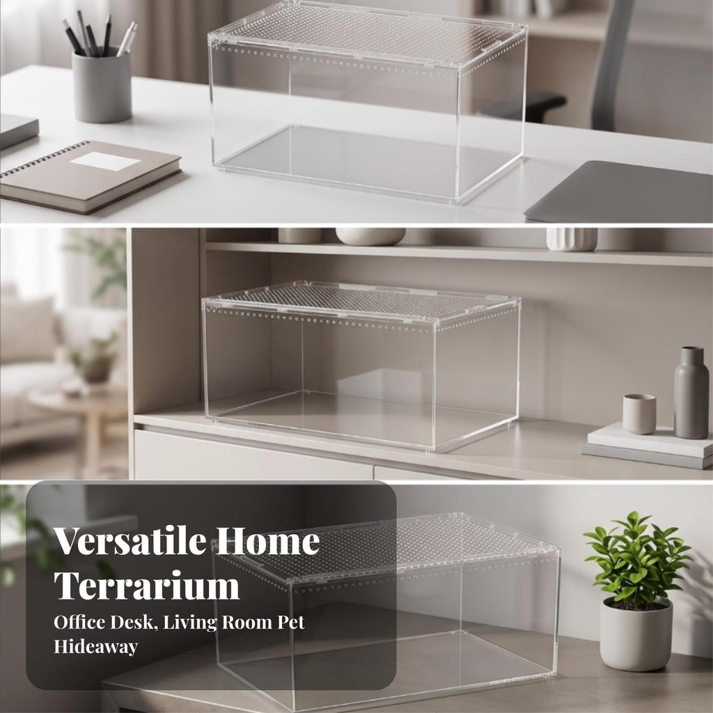 Transparent Reptile Terrarium | Ventilated Top Panel, Enclosure, for