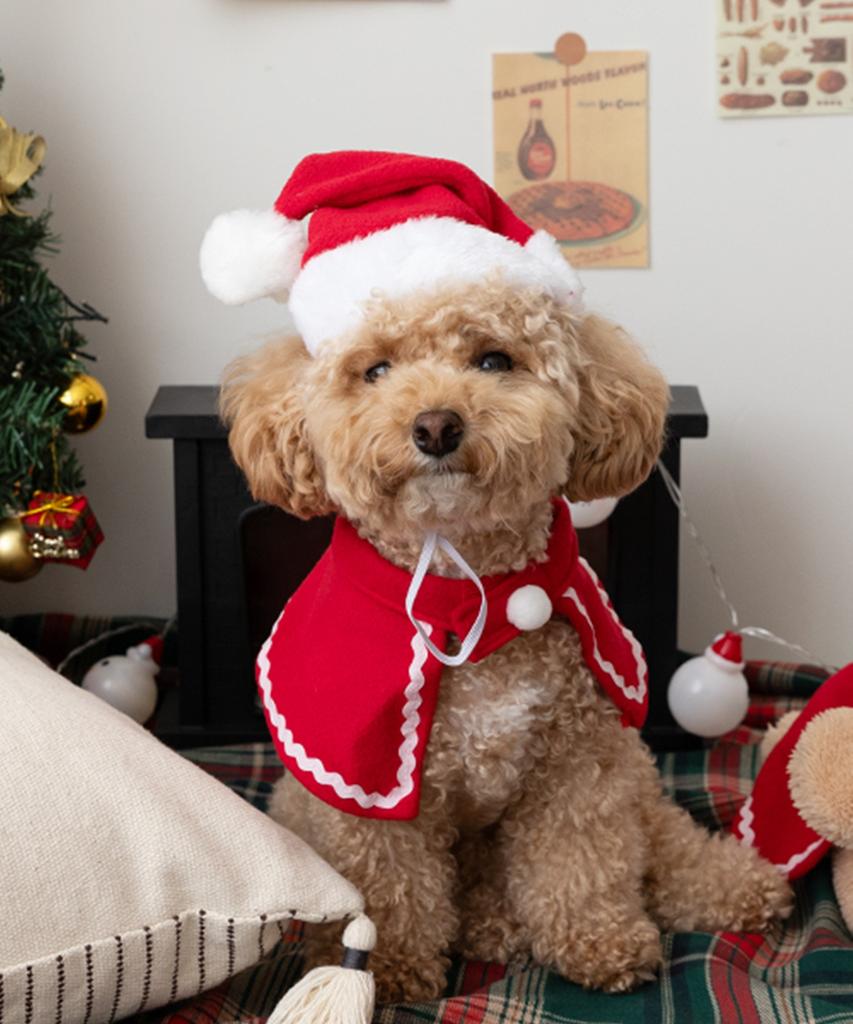 Lyubeullyusyab Christmas Pet Balaclava Hat Cape Set 2 Types 3 Sizes