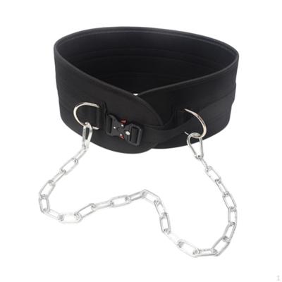Dip Belt for Weight Lifting Pull Up Weightlifting Back Support Strap Waist Power