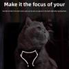 Adjustable Cat Harness and Leash Sets Reflective Vest Style No-Pull Chest Strap Breathable Kawaii Mesh Pet Harnesses Walking