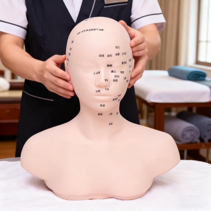 Realistic Massage Therapy Head Model Featuring Stable Filling Structure And Ergonomic Design For Beauty Academies