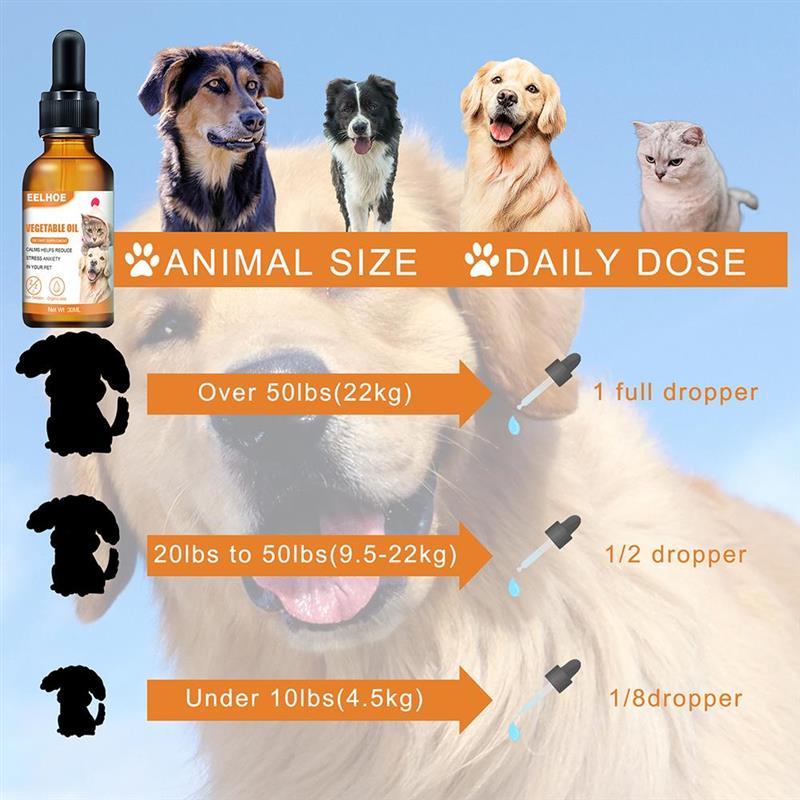 essential dog supplies
