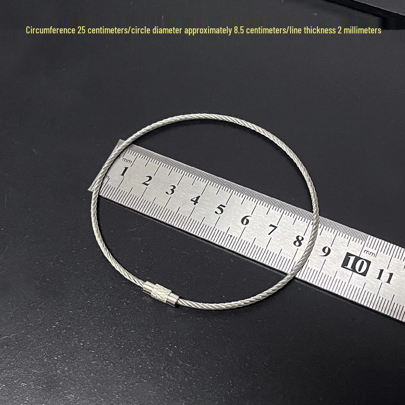 Multipurpose Steel Wire Key Chain with Anti-Lost Buckle and Storage Ring