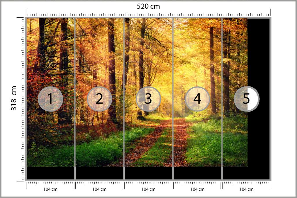 Photomural Forest Autumn Colours Washable Fleece 520x318