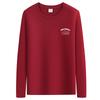 QICED Spring and Autumn New Thin Section Men's Long-sleeved T-shirt Slim Small Shirt Shirt Bottoming Shirt