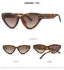 Cat Eye Sunglasses 2315: Trendy European & American Street Style