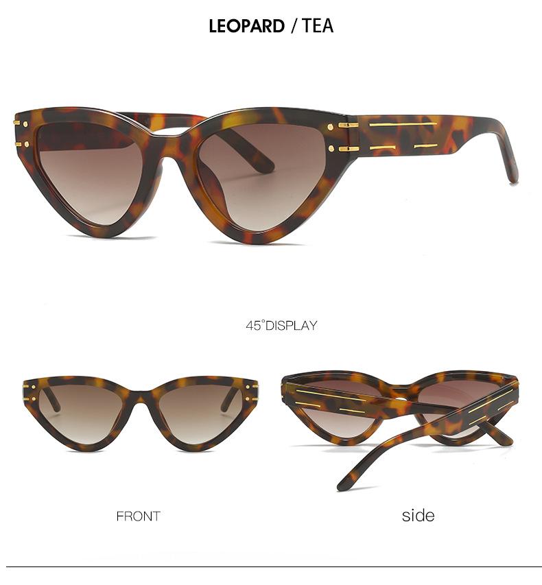 Cat Eye Sunglasses 2315: Trendy European & American Street Style