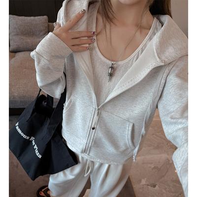Classic Autumn and Winter Solid Color Hooded Sweater Long-sleeved Zipper Thickened Jacket Women's Sports Loose Casual Versatile Top