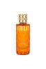 Paris corner Virilis EDP 100 ml unisex Eau de Parfum