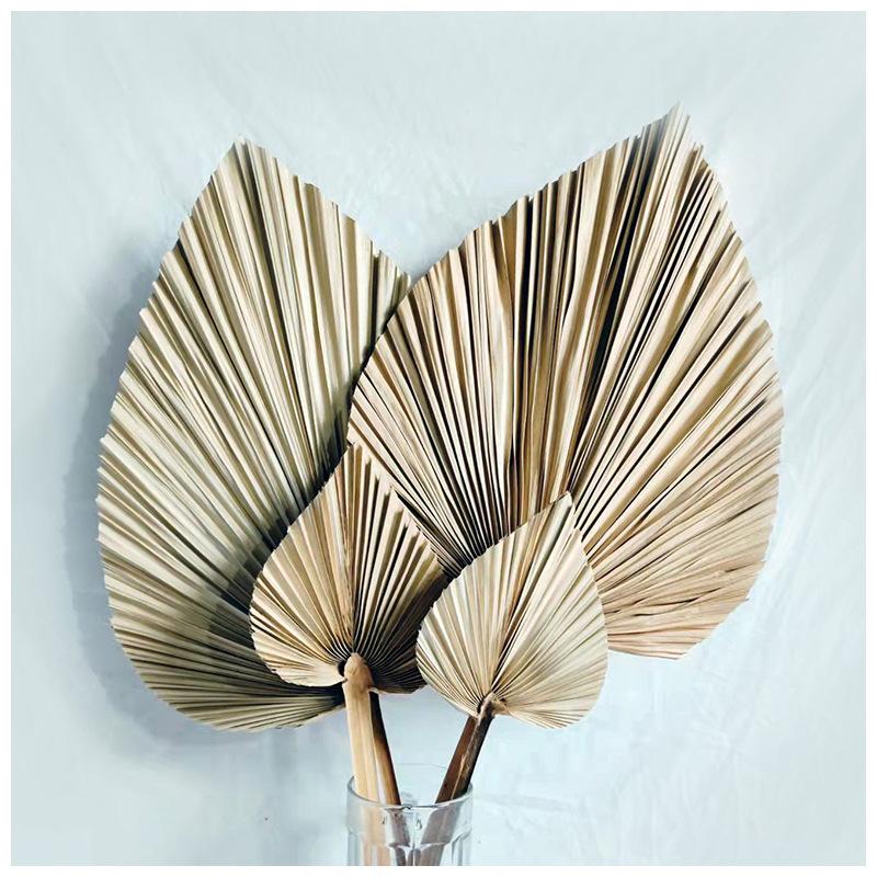 Nordic Style Large Cattail Leaf Fan Dried Flowers Sunflower Leaves Palm Leaves Aesthetic Flower Arrangement Material Wedding Sha