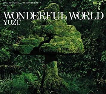 CD YUZU - Wonderful World SNCC86918 Senha & Co. 2008 Japan Pop Used