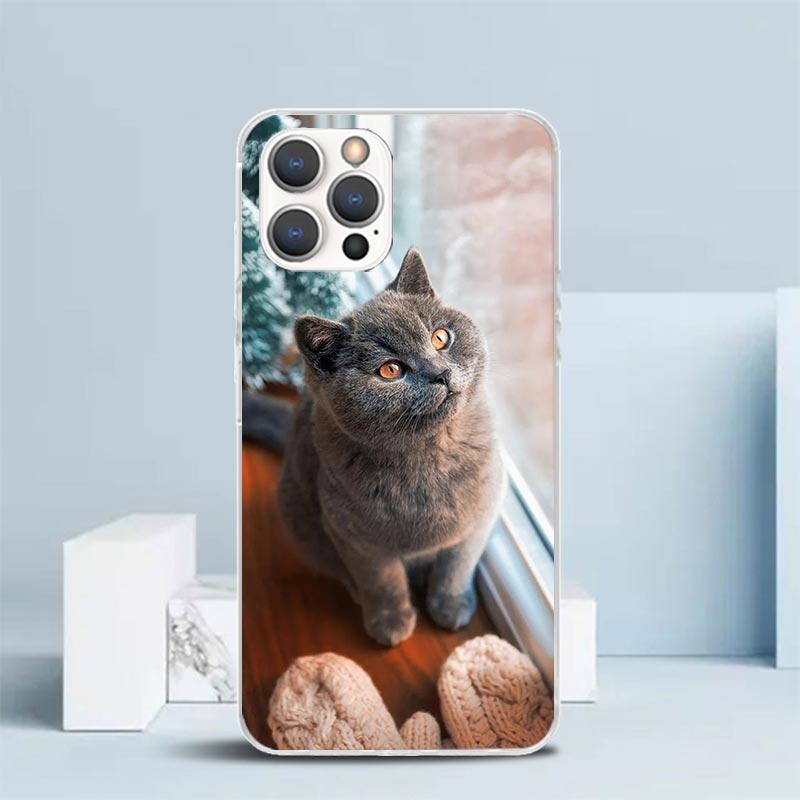 British Shorthair Cat Phone Case For IPhone 16 17 Air 16E 15 14 Plus 13 Mini 12 11 Pro Max 7 8 + SE 2020 Soft TPU Back Cover 16