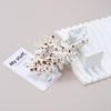 Conch Hair Claw Clip Large Acrylic Hair Jaw Clamps Styling Tools Hair Accessory
