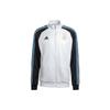 adidas Argentina Soccer Jerseys Men's White Moderate Straight Fit HF3955