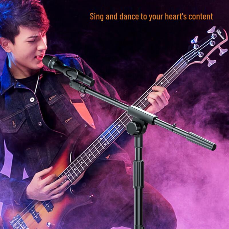 Xuan Chuan Adjustable Microphone Floor Stand