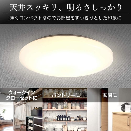 Iris Ohyama Ceiling Light Medium Bulb Color 3200lm CLM-32LD