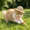 Floral Accents Pet Straw Hat Adjustable Elastic Pet Dress-Up Hat  Small Breeds