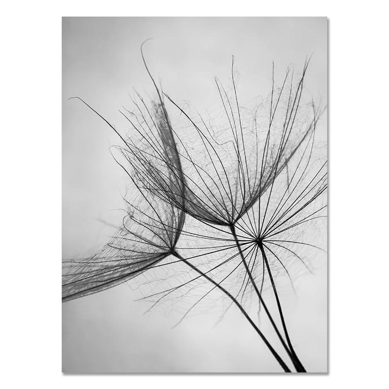 Black and White Flower Posters Print Fresh Canvas PaintingWall Art Feather Dandelion Pictures  Living Room Decoration Wall Decor