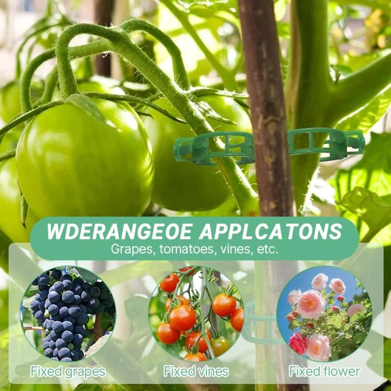 50-300Pcs Plant Support Clips Reusable Plastic Connects Vine Fixing Clip Tomato Grape Vegetable Plants Holder Buckle Garden Tool