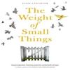 The Weight of Small Things by Julie Lancaster Paperback Book 9781913406189